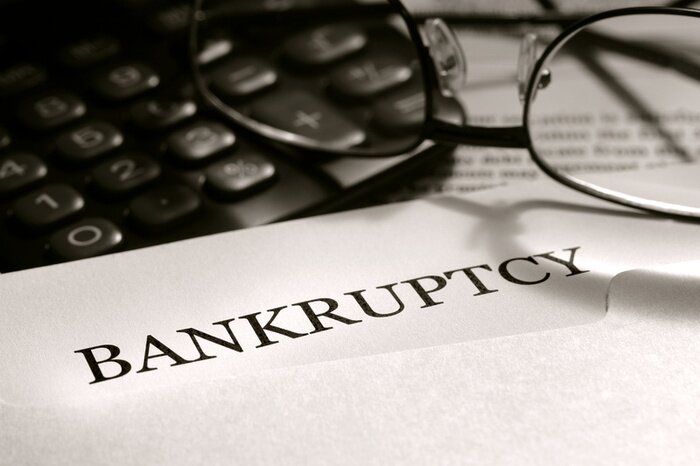 Несостоятельность (банкротство) юридического лица- предпринимателя